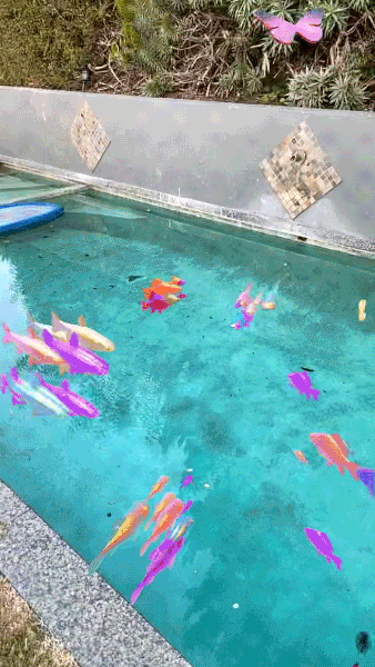 Fish, Lens Studio, Shaders